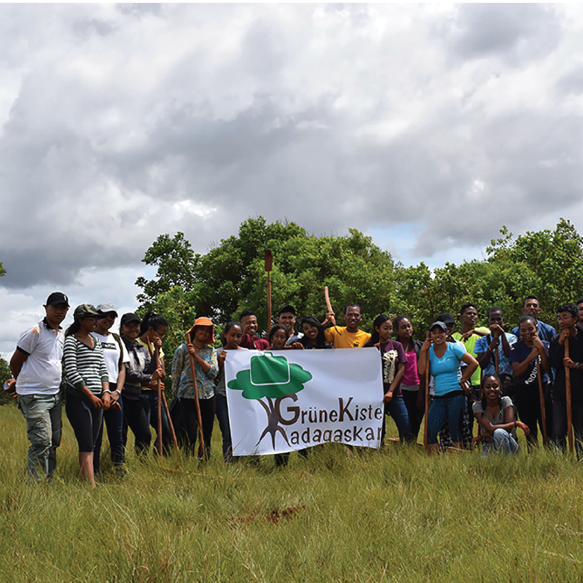 Grüne Kiste: Baum-Pflanz Aktion Februar 2019